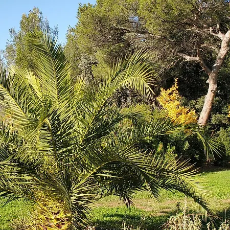 St Raphael Studio 30m2 Climatise 3 Personnes Pisci Διαμέρισμα